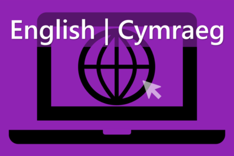 Apply for basic checks online, in Welsh