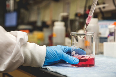 Picture of laboratory