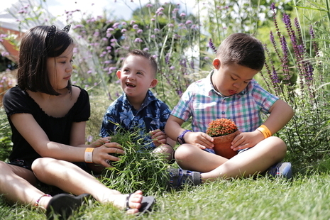 3 Children sitting on the grass surrounded by purple flowers