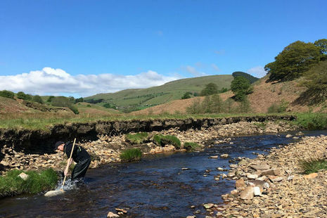 An Environment Agency officer wading in a stream to conduct sampling holding a net with grasslands and hills in the background