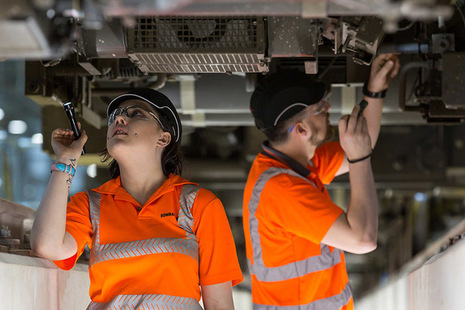 Picture of the apprentices at work.