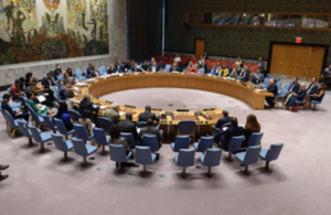 UNSC (UN Photo)