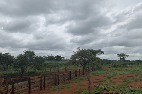 Angola farmland