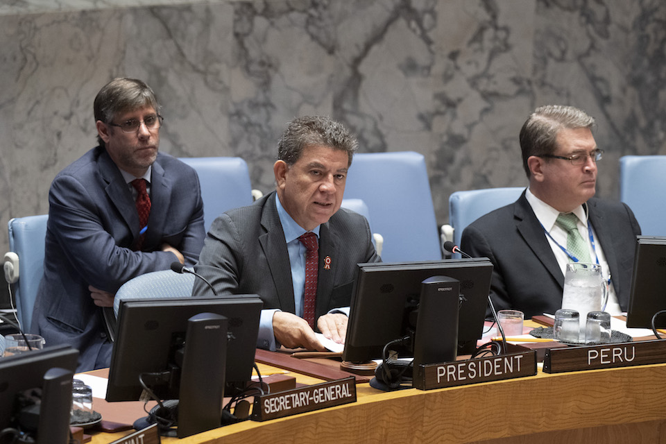 President of the UN Security Council (UN Photo)