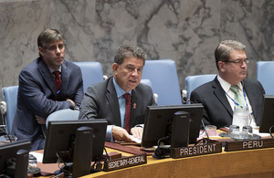 President of the UN Security Council (UN Photo)