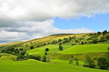 Green hilly fields