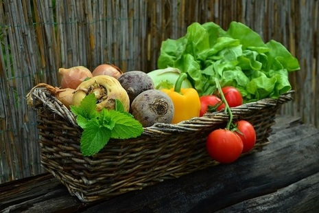 Vegetables in a basket