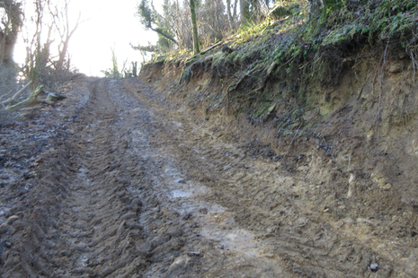 Track at Newtondale Site of Special Scientific Interest