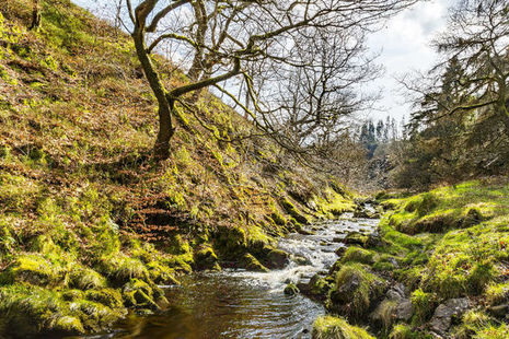 A small river with steep grassy flowing over rocks