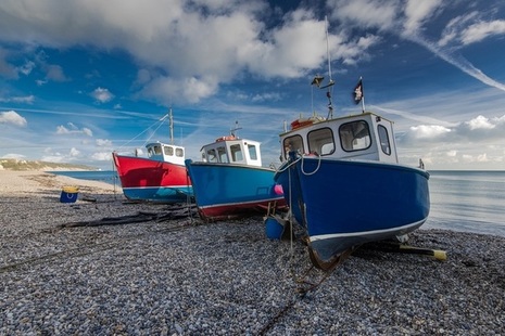Boats on the shore