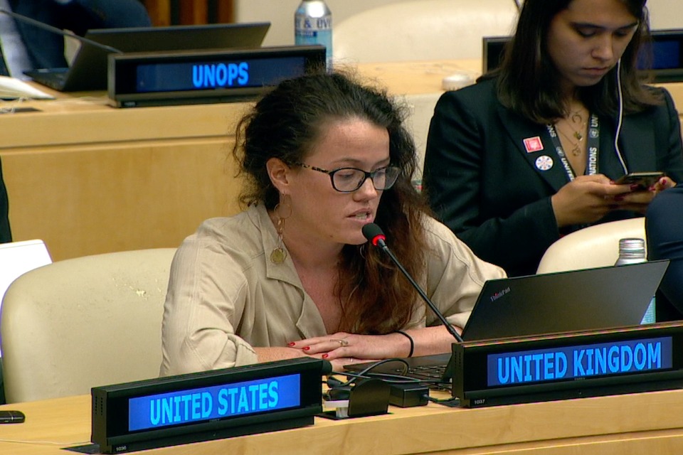 UNFPA Executive Boards meeting