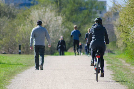 Cyclist, walkers and runners on wide path in a park