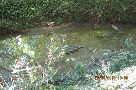 Grendon Brook following pollution incident