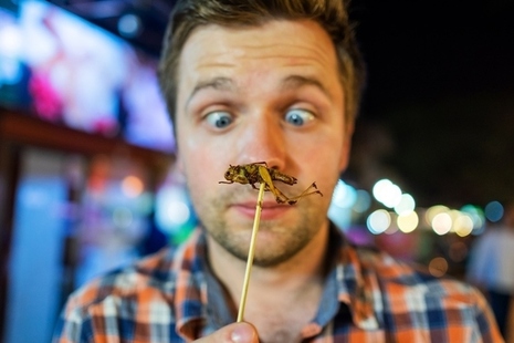 man contemplating eating a cricket