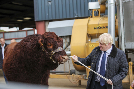 Prime Minister Boris Johnson leads bull on a farm in Aberdeenshire