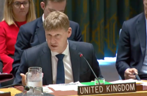 Ambassador Allen at UNSC