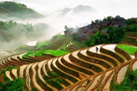 Work with China to transform food production: apply for funding