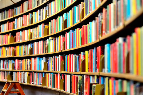 Library bookshelf