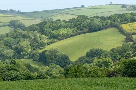 Fields and woodland