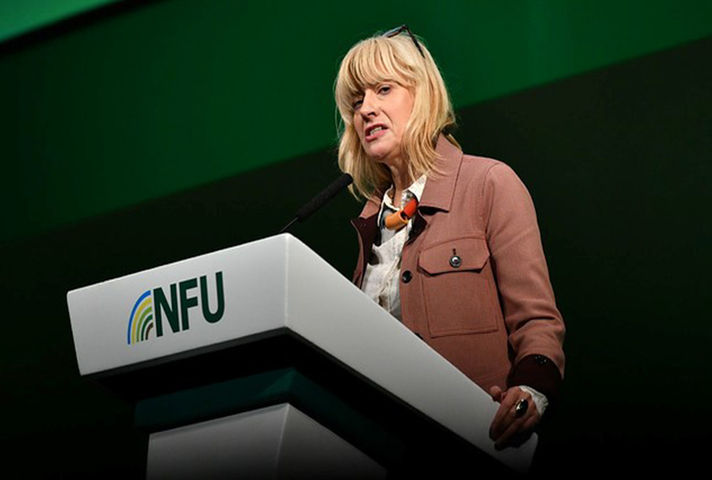 Christine Middlemiss