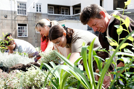 Picture of volunteers working in a community garden