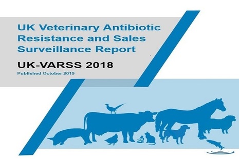 Front cover of report