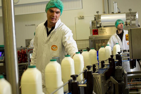 Milk being bottled