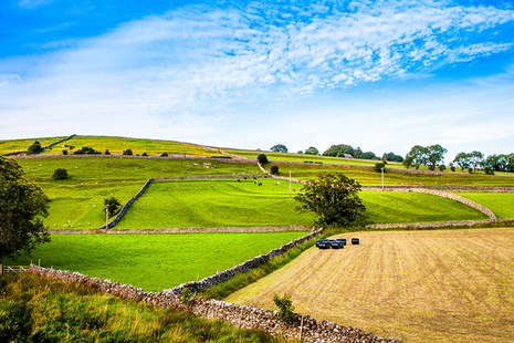Fields divided by stone walls in the English countryside