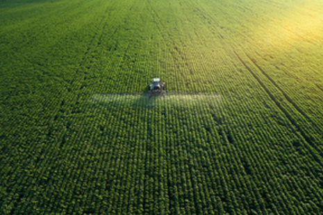 fields used for farming