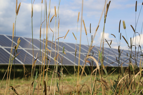 Solar plant