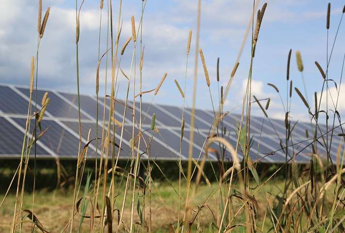 Solar plant