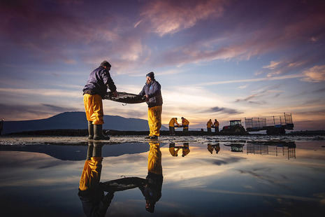 Rooney Fish Director Andrew Rooney and Manager Patrick Higgins on the Millbay Oyster farm