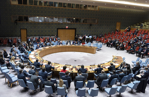 Security Council briefing