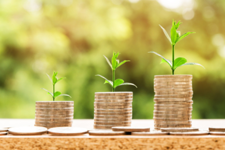 3 stacks of coins with small plants growing from the top of them.