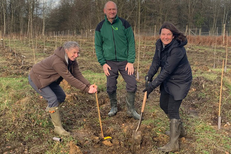 People digging a hole to plant new trees