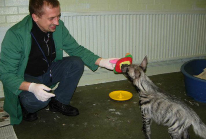Andrew Bieniek-Maluszczak and hyena