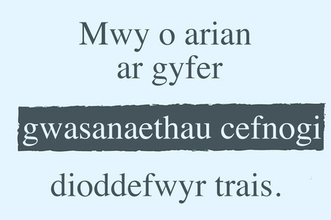 cefnogaeth gwasanaethau dioddefwyr trais