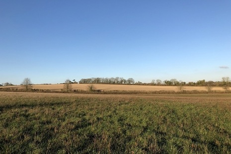 Green field backing onto woodland and hedgerows