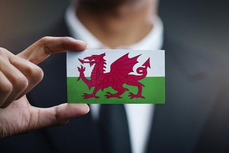 Man wearing a suit holding a small Welsh flag.
