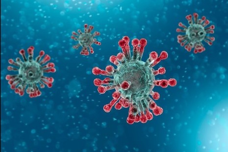 coronavirus