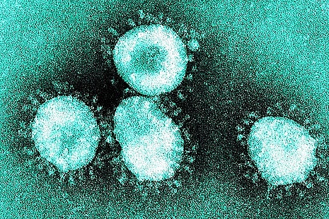 Image of Corona virus