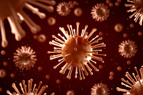Graphical representation of a virus