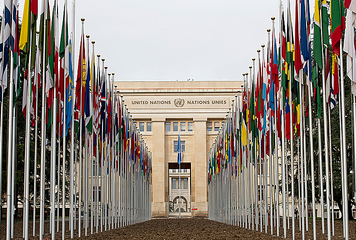 Parallel flags of all UN members going down towards the UN flag in the middle, and the building, Palais Des Nations