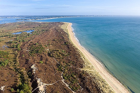 Image showing Studland