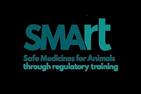 Smart logo