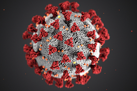 Image of coronavirus