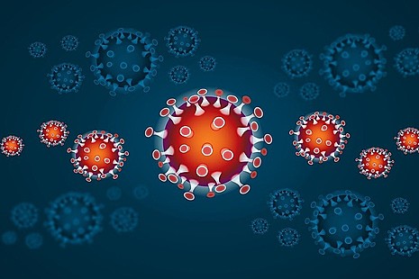 Ofsted: Coronavirus (COVID-19)