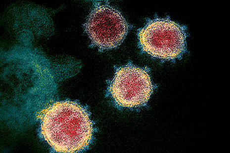 Coronavirus