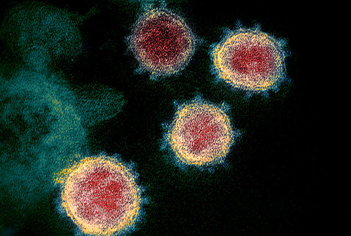 Coronavirus
