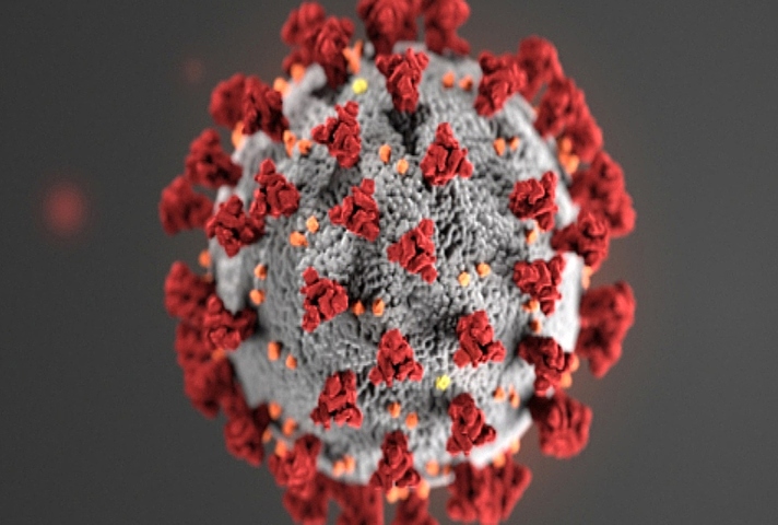 computer image of coronovirus